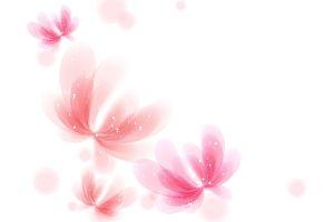 download white backgrounds 1920x1200 for iPad