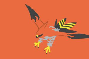Talonflame Wallpaper 1920x1080 ios