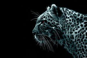 top hd wallpapers 1920x1080 1920x1080 for iphone 5s