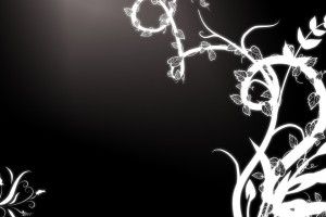 Pretty Black and White Backgrounds 1920x1080 notebook