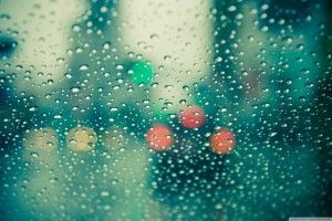 free download Wallpaper for Window 2560x1600