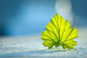 backgrounds hd 1920x1200 samsung