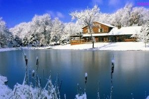 vertical Beautiful Snow Wallpapers 1920x1200 htc