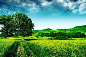 landscape backgrounds 1920x1080 for mac