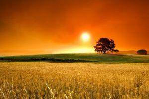 field background 1920x1200 720p