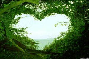 gorgerous Love Nature Wallpaper 2560x1440 for mac