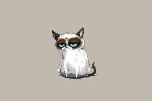 Cartoon Cat Wallpaper 1920x1080 for tablet