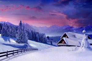 cool winter wallpaper hd 2560x1600