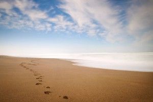 download free Footprints in the Sand Wallpaper 2560x1600
