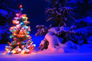 Christmas Backgrounds for Desktop 1920x1200 photo