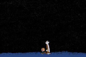 cool Calvin and Hobbes Wallpapers 2048x1152 for tablet