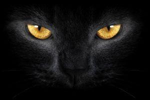 2560x1440 wallpapers 2560x1440 1080p