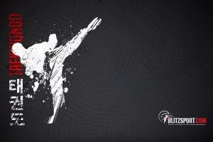 top Taekwondo Wallpapers 2560x1600 for iPad Pro