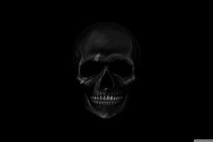 gorgerous Skulls Wallpaper HD 2560x1440