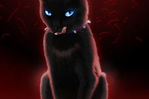 vertical Warrior Cats Wallpaper Scourge 1748x2480