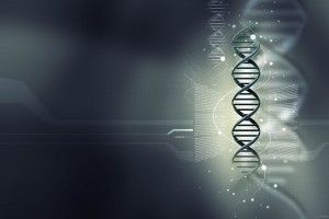 new Medical Desktop Backgrounds 2560x1600 free download