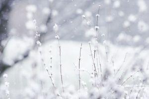 winter backgrounds 3888x2592 notebook