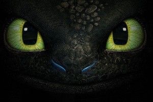 Toothless the Dragon Wallpaper 1920x1200 picture