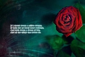 free download Love Poems Wallpaper 1920x1200