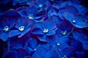 popular pretty backgrounds 1920x1080 PC