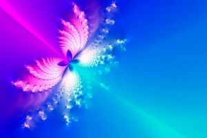 widescreen Cool Butterfly Backgrounds 1920x1080 for windows 7