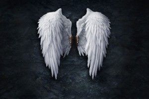 vertical Angel Wings Wallpaper 1920x1200 windows xp
