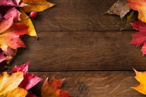 Autumn Background Images 2560x1600 HD for mobile