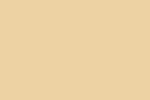 full size cream background 2880x1800