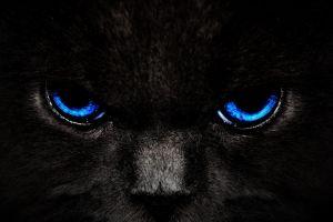 beautiful black wallpaper hd 1920x1080 for phones