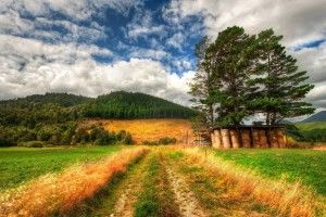 download free New Nature Wallpaper 2560x1600