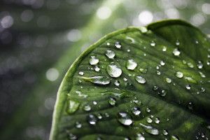 Full HD Wallpapers 1080p 1920x1080 images