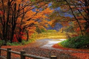 widescreen Fall Scenery Backgrounds 1920x1080 for android