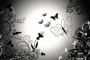 Black Butterfly Wallpaper 1920x1200 for mac