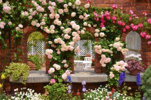 free garden background 2048x1328 for android 5.0