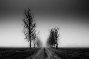 popular Black and White Wallpapers 1920x1200 meizu