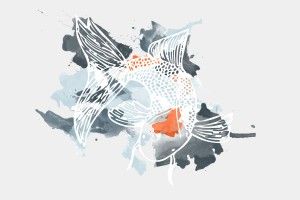 widescreen Koi Fish Background 3456x2160 PC