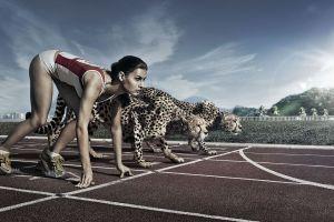 download sports background 2560x1440