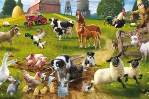 vertical Farm Animals Wallpaper 1920x1200 HD for mobile