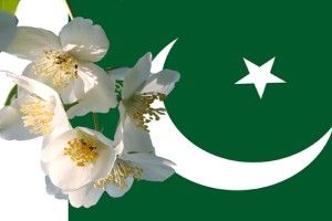 download free Pakistan Flag Wallpapers HD 2018 1920x1080 cell phone