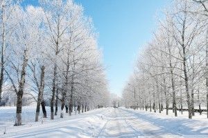 Snow Pictures Wallpaper 1920x1080 for android 5.0