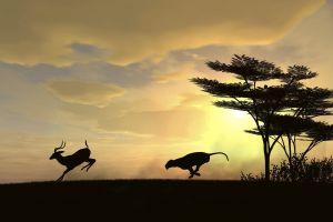 best national geographic wallpaper 2726x1803 for tablet