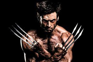 logan wallpaper 2880x1800 images
