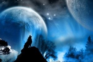 gorgerous Wolf Howling at The Moon Wallpaper 1920x1080 large resolution