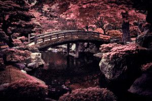 Japanese Desktop Wallpaper 2560x1600 for android tablet