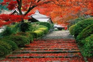 Japanese Landscape Wallpaper 1920x1080 for htc